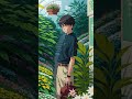 著作権フリーBGM 皆さんを力づけ,慰めるためです。誰にもこのような苦難によって動揺してほしくないとは?