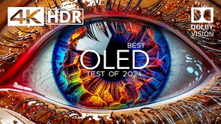4K HDR 60FPS | THE ULTIMATE OLED TEST 2024 | Dolby Vision