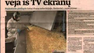 Laikraščių Apžvalga
