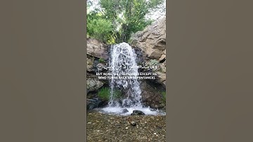 قرآن كريم #ترتيل_القرآن #المنشاوي #المصحف #القرآن_الكريم #اكسبلور