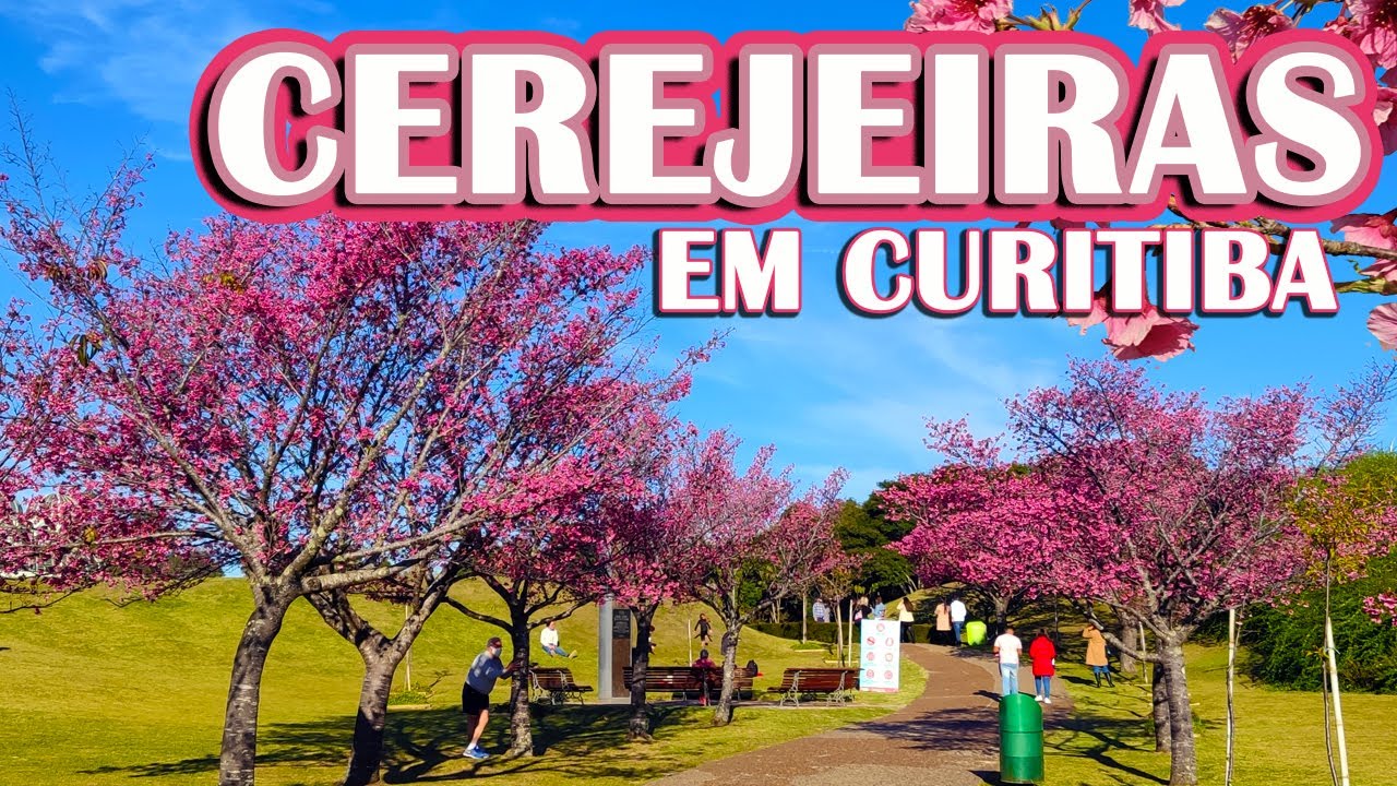 24 lugares secretos em Curitiba para fazer rolês diferentes