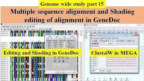 Genome wide study Part 15 | How to do multiple sequence alignment in MEGA and GeneDoc for shading