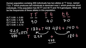 How to solve allele frequency problems