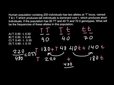 How to solve allele frequency problems