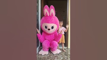 Monyet lucu bikin ketawa #funny #shorts