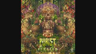 Purist - Nirmanakayas ᴴᴰ