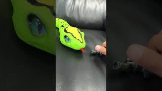 Taipan Dragon Eats A Mans Arm And His Leg