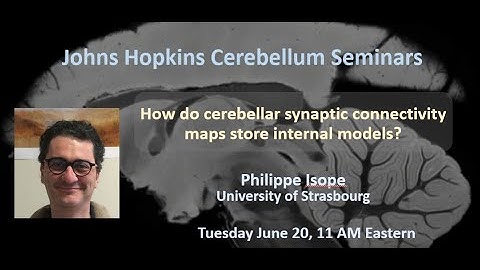 Philippe Isope: How do cerebellar synaptic connectivity maps store internal models?