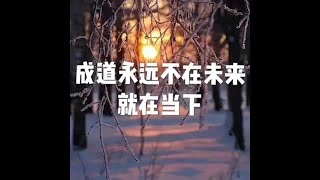 201703 成道永远不在未来　就在当下22258