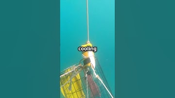 How Data Centers Survive Underwater! #facts #shorts #shortvideo #datacenter#microsoft#youtubeshorts