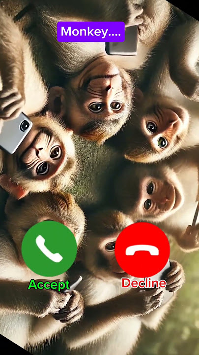 #iphone #ringtone #calling #monkey #reels #shorts