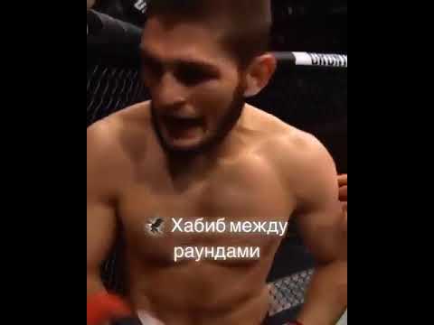 Хабиб Нурмагомедов в ванной с мужиками