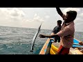 Catching Plenty of Needle Fish in the Sea