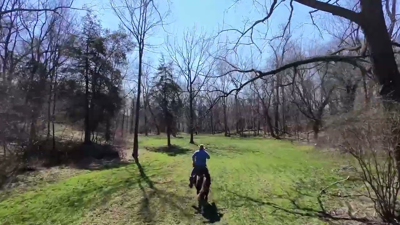 My last ride on Rainy the filly that Guy McLean started under saddle at the Horse World Expo 2025