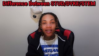 Difference Between STUD/DYKE/STEM