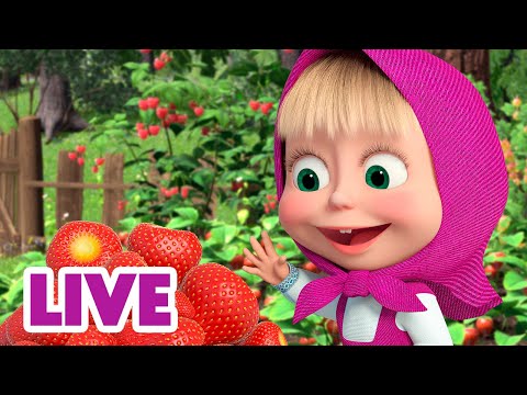 Видео: 🔴 ПРЯМОЙ ЭФИР! LIVE Маша и Медведь 👱‍♀️🐻 Сладко жить не запретишь 🍓🍒