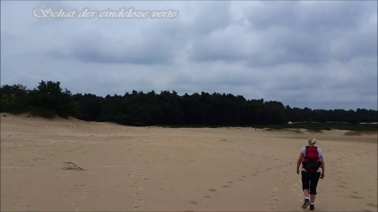 GC4BQD8 Schat der eindeloze verte