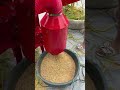 Portable Mini Rice Thresher #ricethresher #paddythresher #backbone #machine #farmer