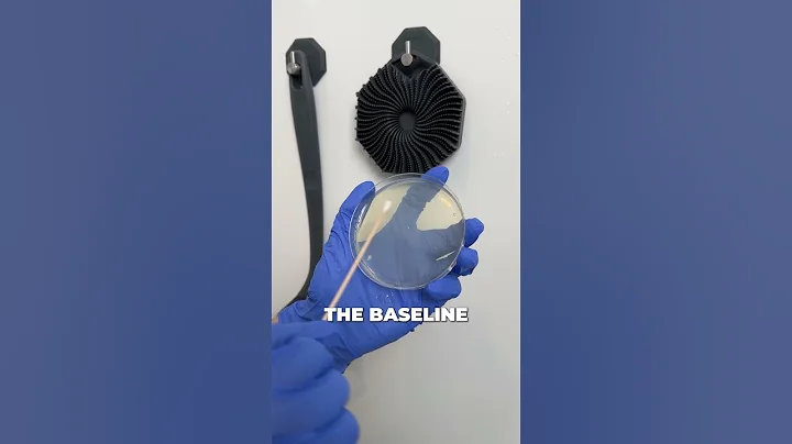 12-HOUR BACTERIA TEST ON BODY SCRUBBER