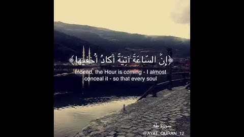 تلاوه الشيخ عثمان باصلاح .