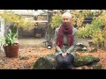 Soul Flower Farm School of Earth Medicine trailer