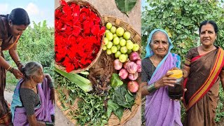 आजीच्या आईची १०० वर्षांपूर्वीची केसांचे तेल तयार करण्याची पारंपरिक पद्धत | Homemade herbal hair oil screenshot 3