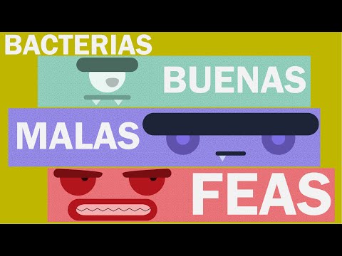 Video: Para Que Son Buenas Las Bacterias