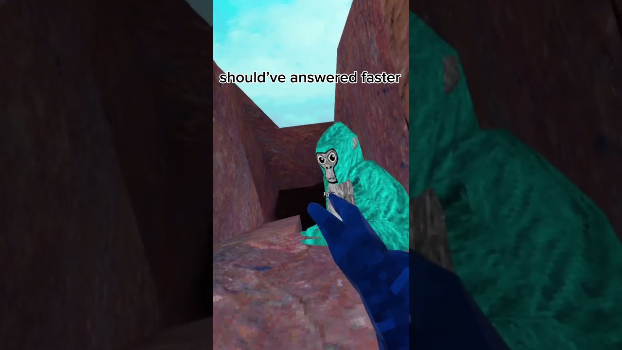 New Headset Guys Gorillatag Oculusmeta Vr Funny Gorillavr Gtag