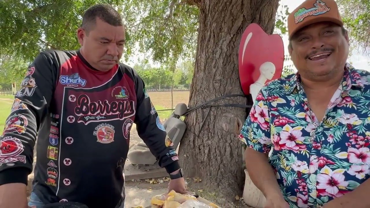 El pollo frito le ponemos mostaza con la mano así lo hace el compa borre 