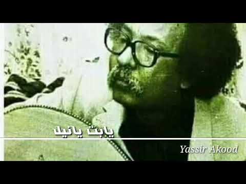 مصطفي سيد احمد يابت يانيل