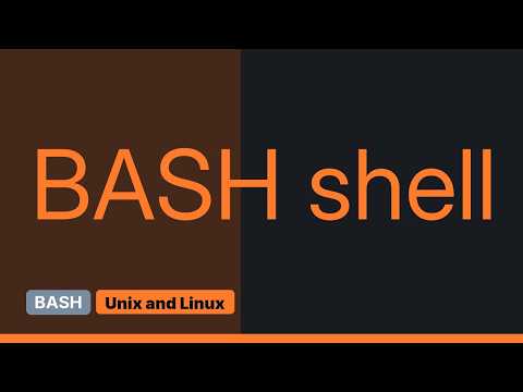 Unix & Linux: How to loop through each file in FTP directory using a bash script? (2 Solutions!!)