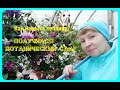 🚿💦🌺Надраила теплицы- теперь там БОТАНИЧЕСКИЙ САД!Готовлюсь к весне.