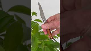 Laguiole Messer das französische Taschenmesser