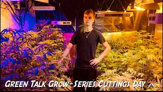 ✂️Cuttings Tutorial + Genetics Update + Outdoor Grow Adventure! 🌿