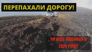 Чи буде пшениця в 2024 році? Та як перепахали Дорогу!