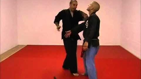 14  Kenpo, Bruineband1   Clipping the Storm