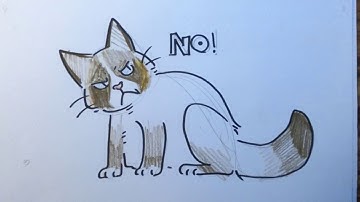 How to draw Grumpy Cat