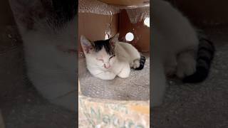 Baba Bak Kendi Evim Var