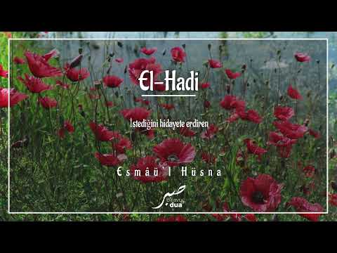 İstediğini hidayete erdiren