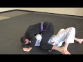 Casey kaiser purple belt