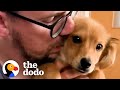 Shy Foster Puppy Cuddles With Her Dad For The First Time | The Dodo Foster Diaries