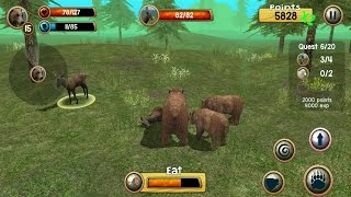 Wild Bear Simulator 3D Android Gameplay screenshot 1