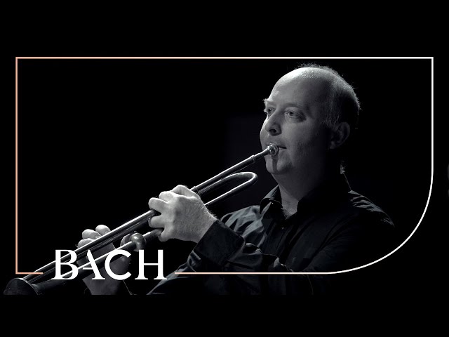 Netherlands Bach Society - Brandenburg Concerto no. 2 F-dur BWV 1047