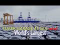 Shenzhen to Europe: World's largest Ro-Ro vessels sets export record with 8,000+ NEVs