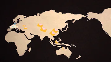 Quanto si guadagna con Amnesty International?
