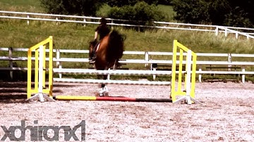 mep p5 for chipundmilo