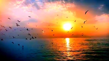 سوره الرحمن بصوت الشيخ احمد رفاعي 📖