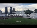 ILLINOIS BEEF FARM