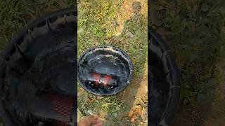 Boat bass boosted vs panii Dj testing time damage Damage 🔉🔊