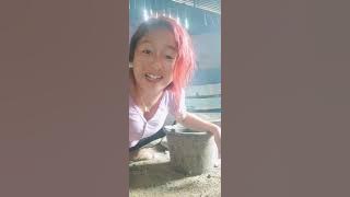 Alani Sketer - Lawak Batak - Ratu Attuk - Salli Manalu